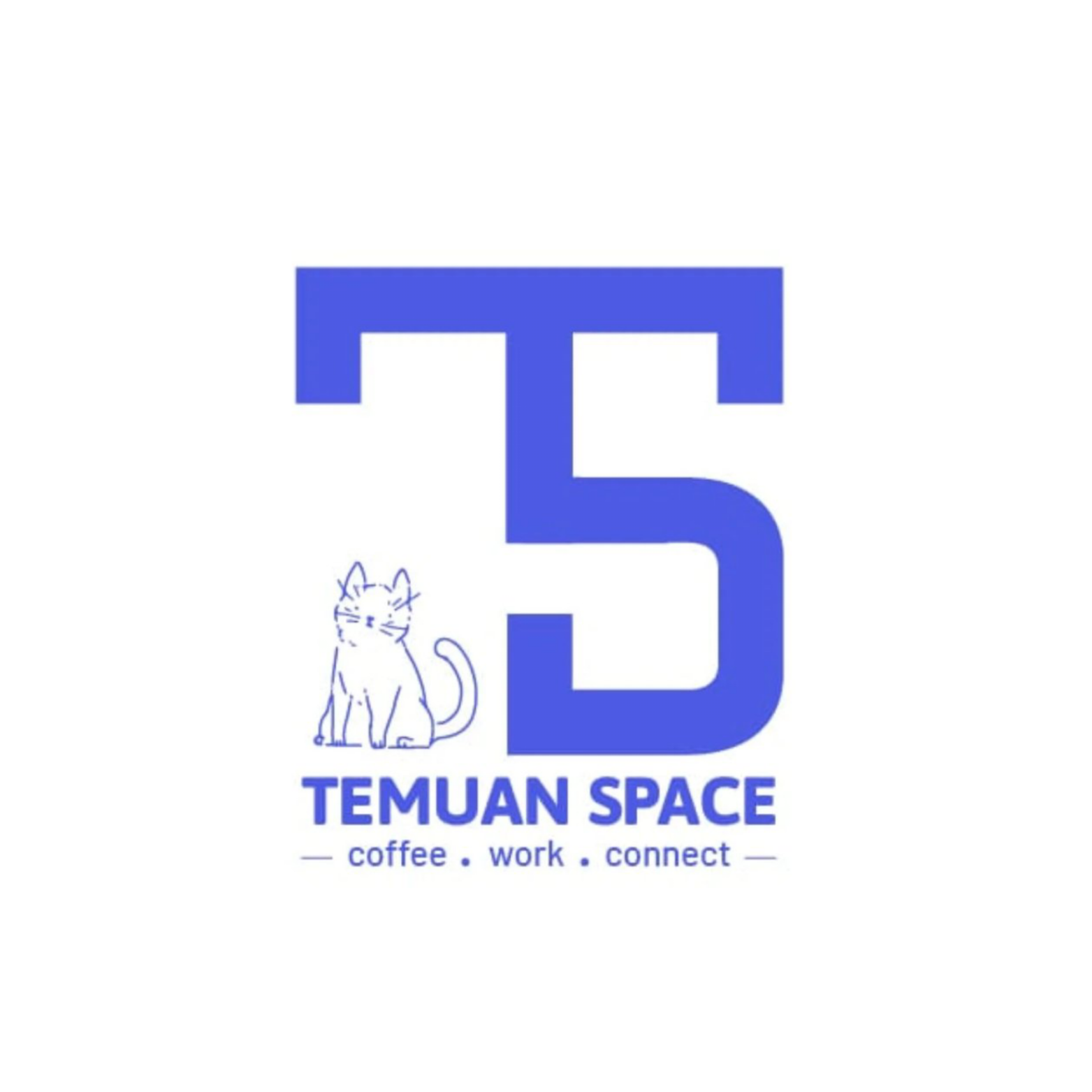 TEMUAN SPACE